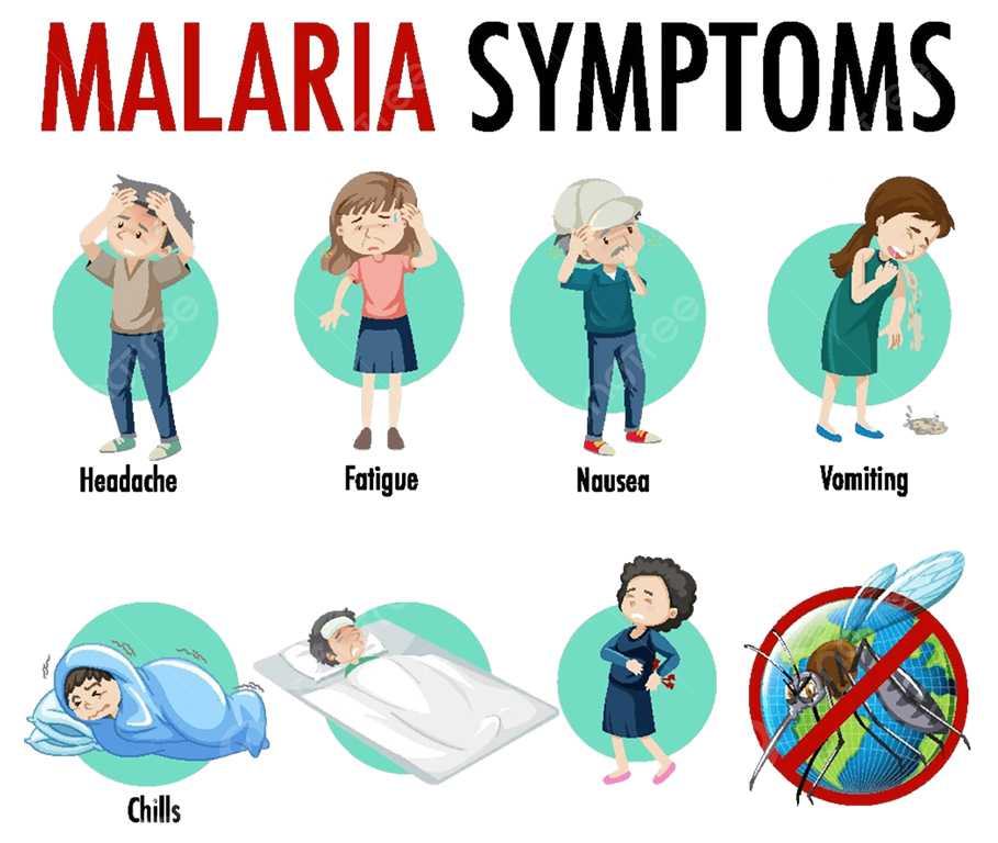 LMIC, malaria death rate, malaria symptoms, malaria treatment