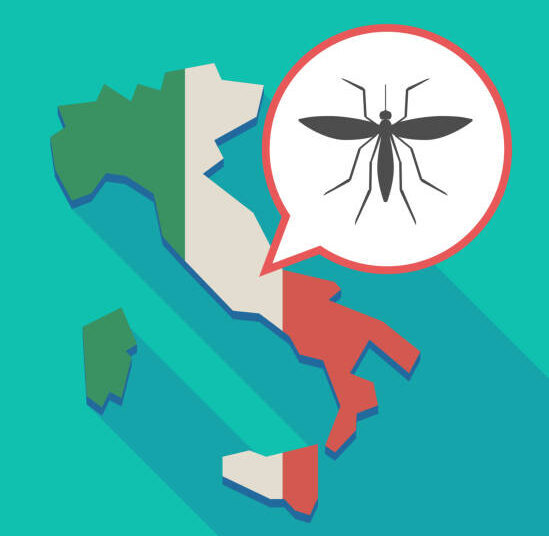 malaria in Italy, Plasmodium Vivax, how malaria is spread, how is malaria spread, Plasmodium parasite