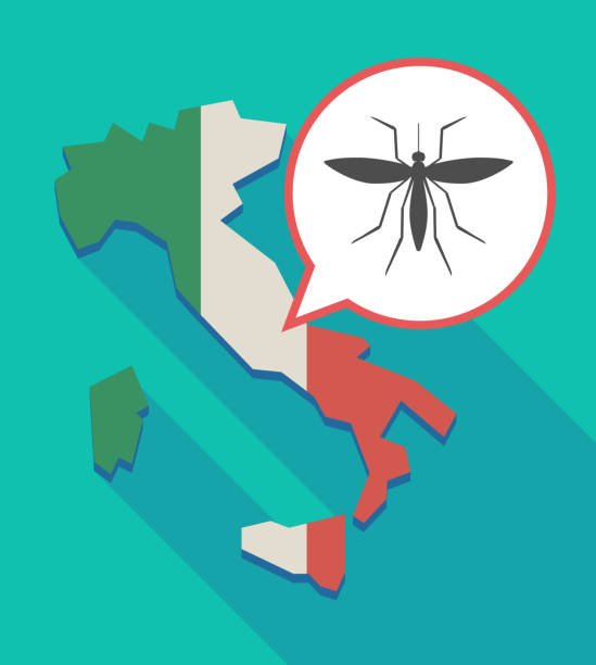 malaria in Italy, Plasmodium Vivax, how malaria is spread, how is malaria spread, Plasmodium parasite