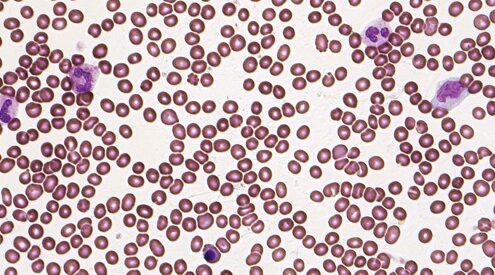 nRBC blood test, nucleated red cells, absolute nRBC, nucleated blood cells normal range