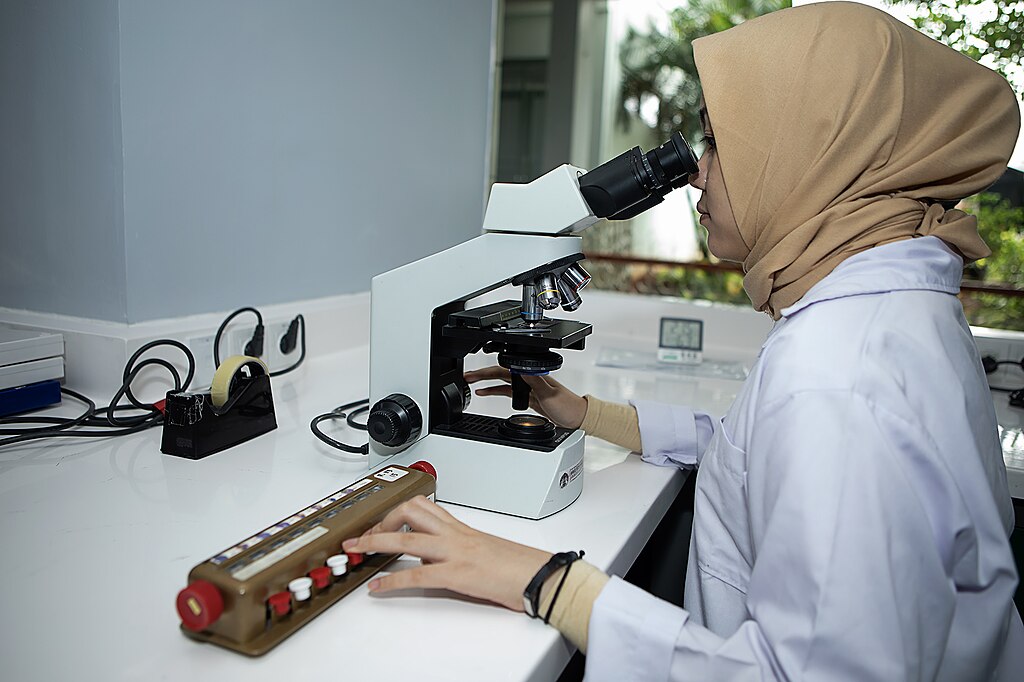 hematology analyzer, POC blood test, point-of-care blood testing, hematology auto analyzer, differential cell counter